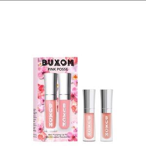 2 for 20 Buxom Pink Posse Mini Plumping Lip Kit
